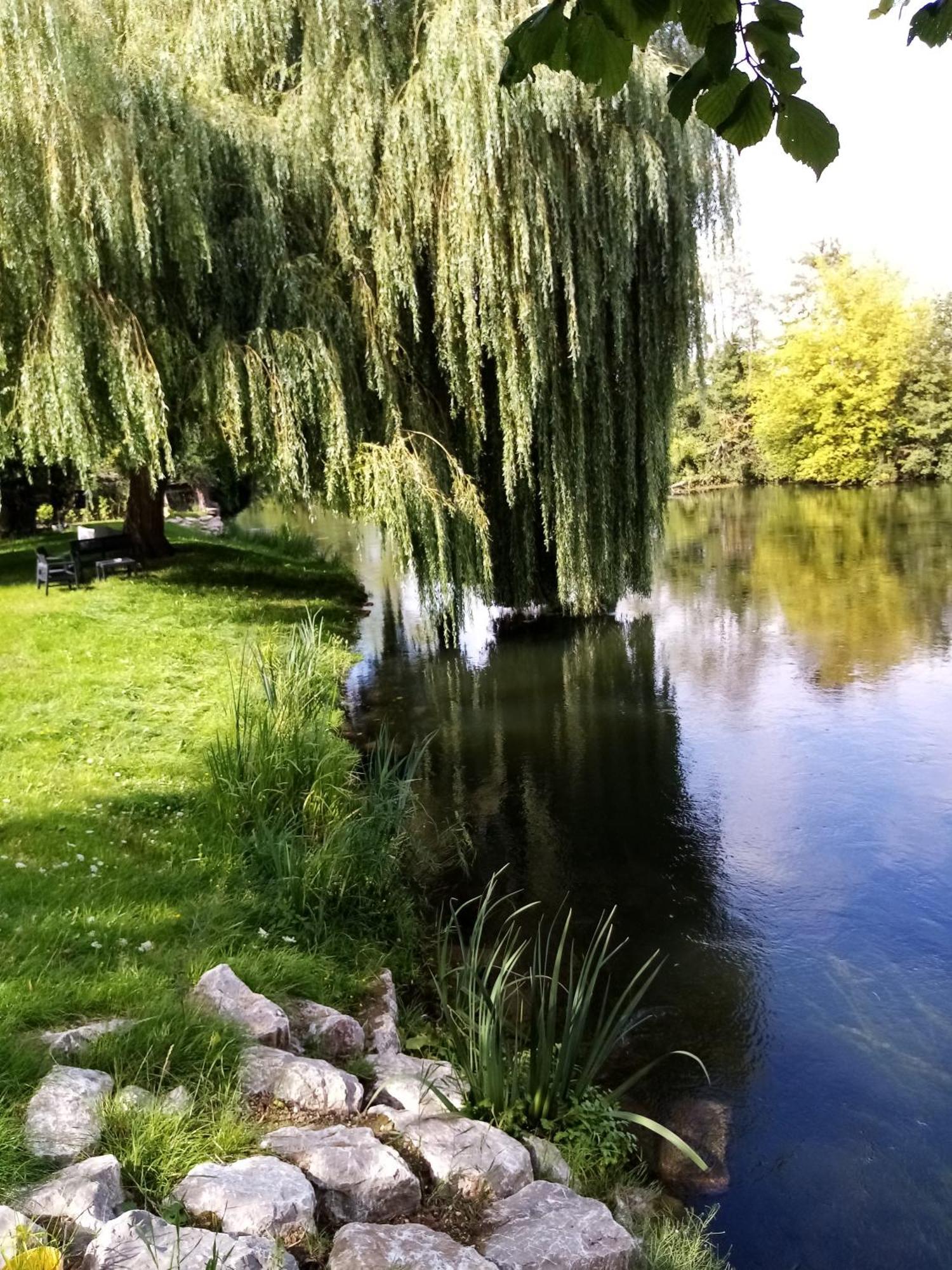 Havre De Paix Au Bords De L'Eure - Divers Hebergements Garennes-sur-Eure Dış mekan fotoğraf